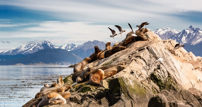 Patagonia Argentina