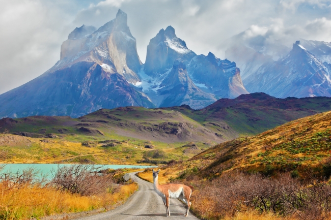 Meeting  Andes patagonicos