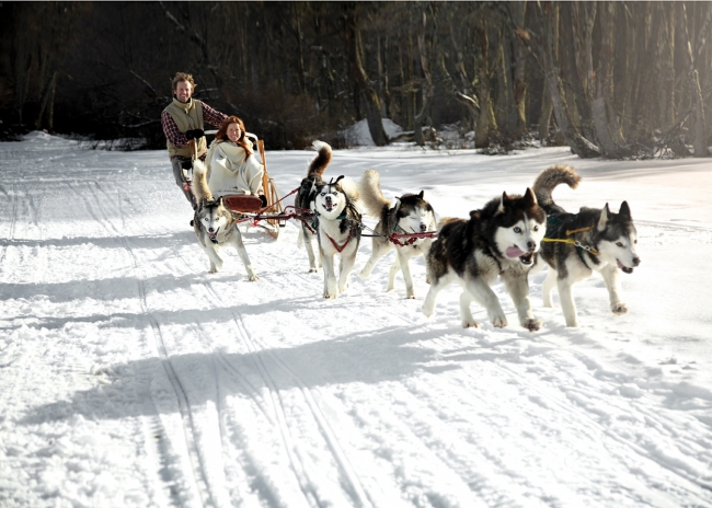 Snow and fire, adventure with sled